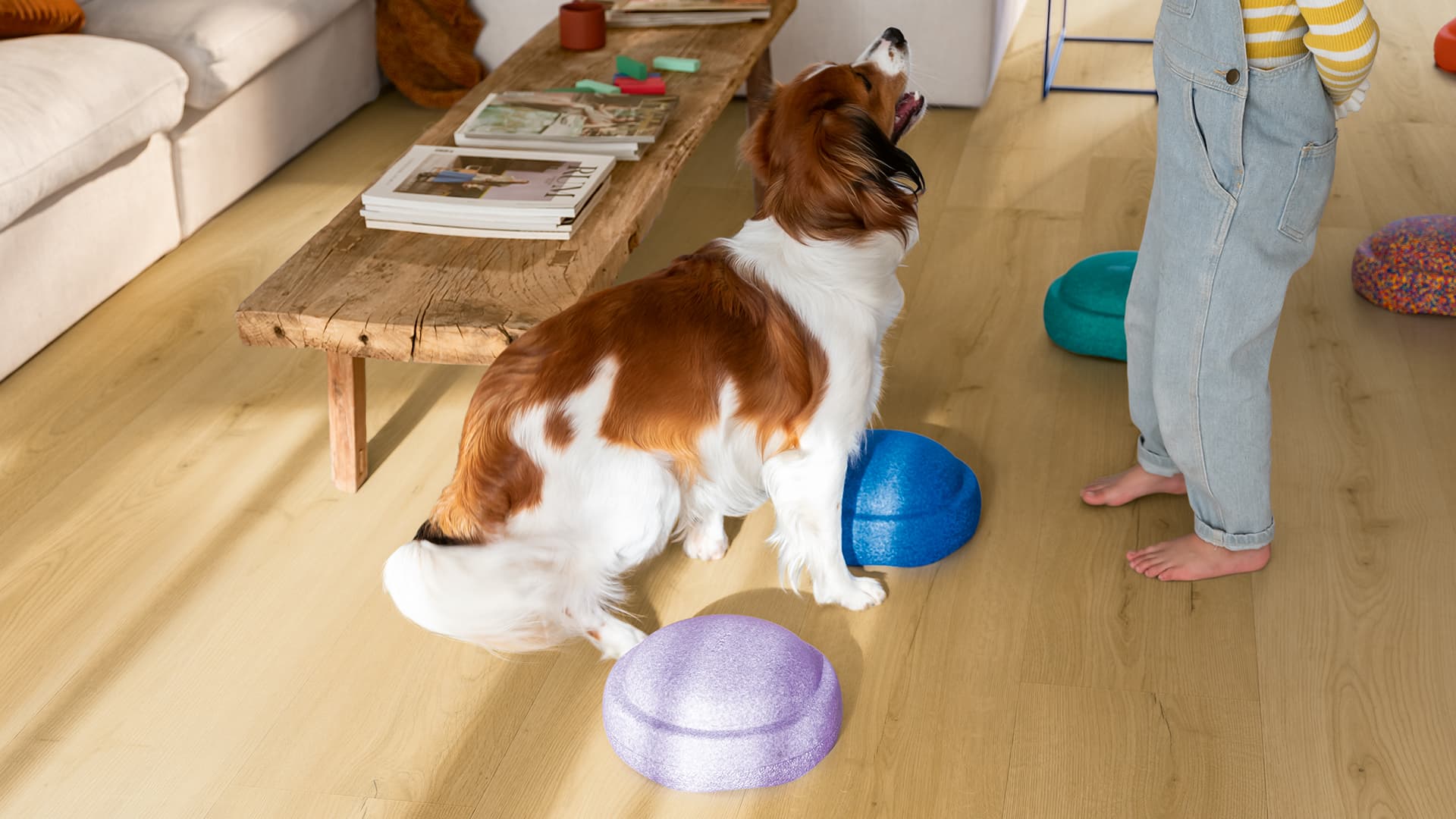 Quick-Step vinyl floor for dogs